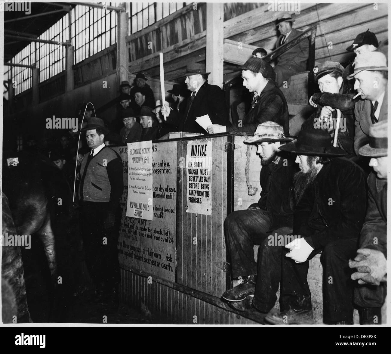 Lancaster County, Pennsylvania. Horse sales are still popular institutions in Lancaster County. Th . . . 521120 Stock Photo