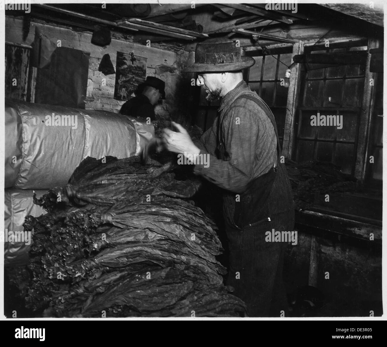 Rural tobacco processing hi-res stock photography and images