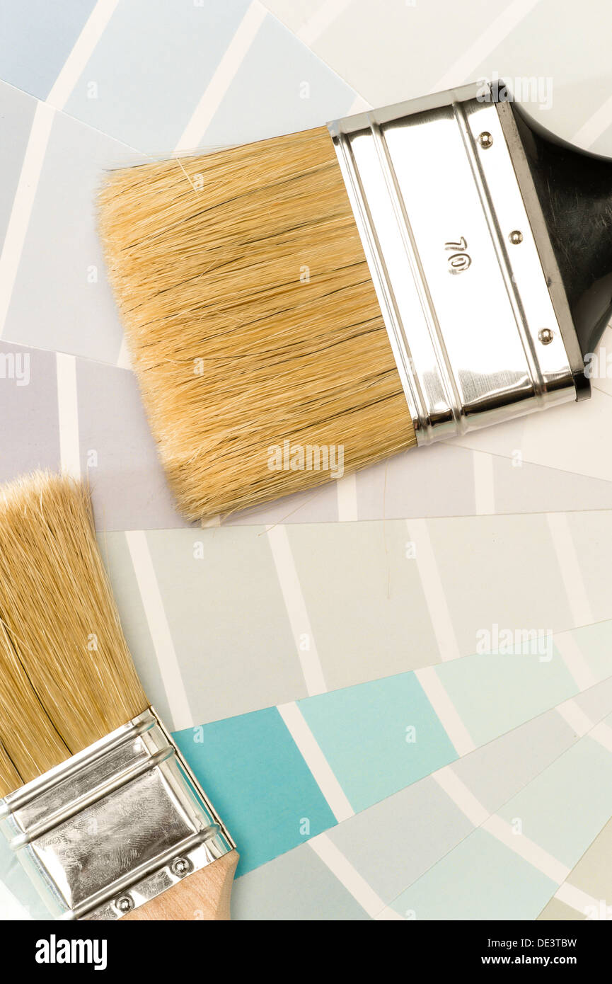 Shade card and paint brushes Stock Photo Alamy