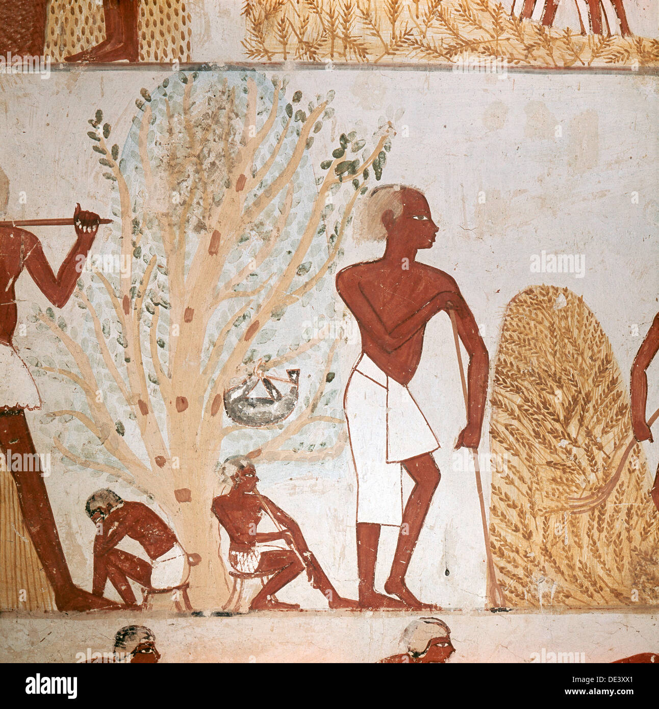 Egypt Wall Painting Farming High Resolution Stock Photography and ...