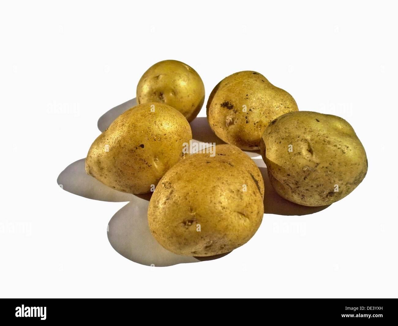 Potatoes, Maharashtra, India Stock Photo Alamy