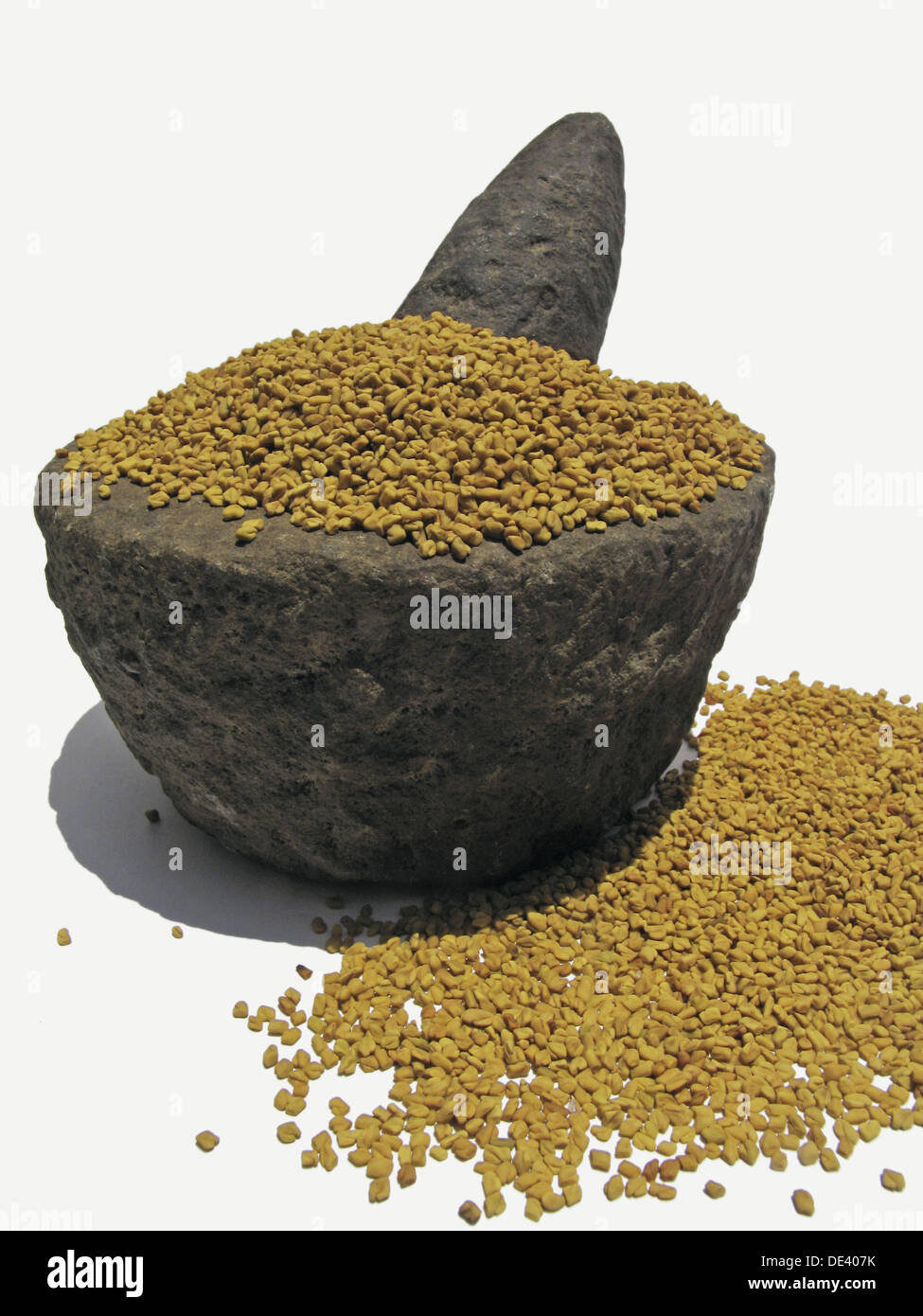 Fenugreek, methi. The leaves and seeds come from Trigonella foenumgraecum, native to southeast