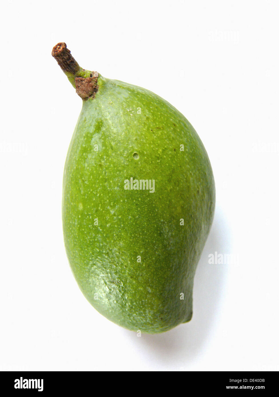 Green (Raw) Mango. The flesh of a mango is peachlike and juicy, with