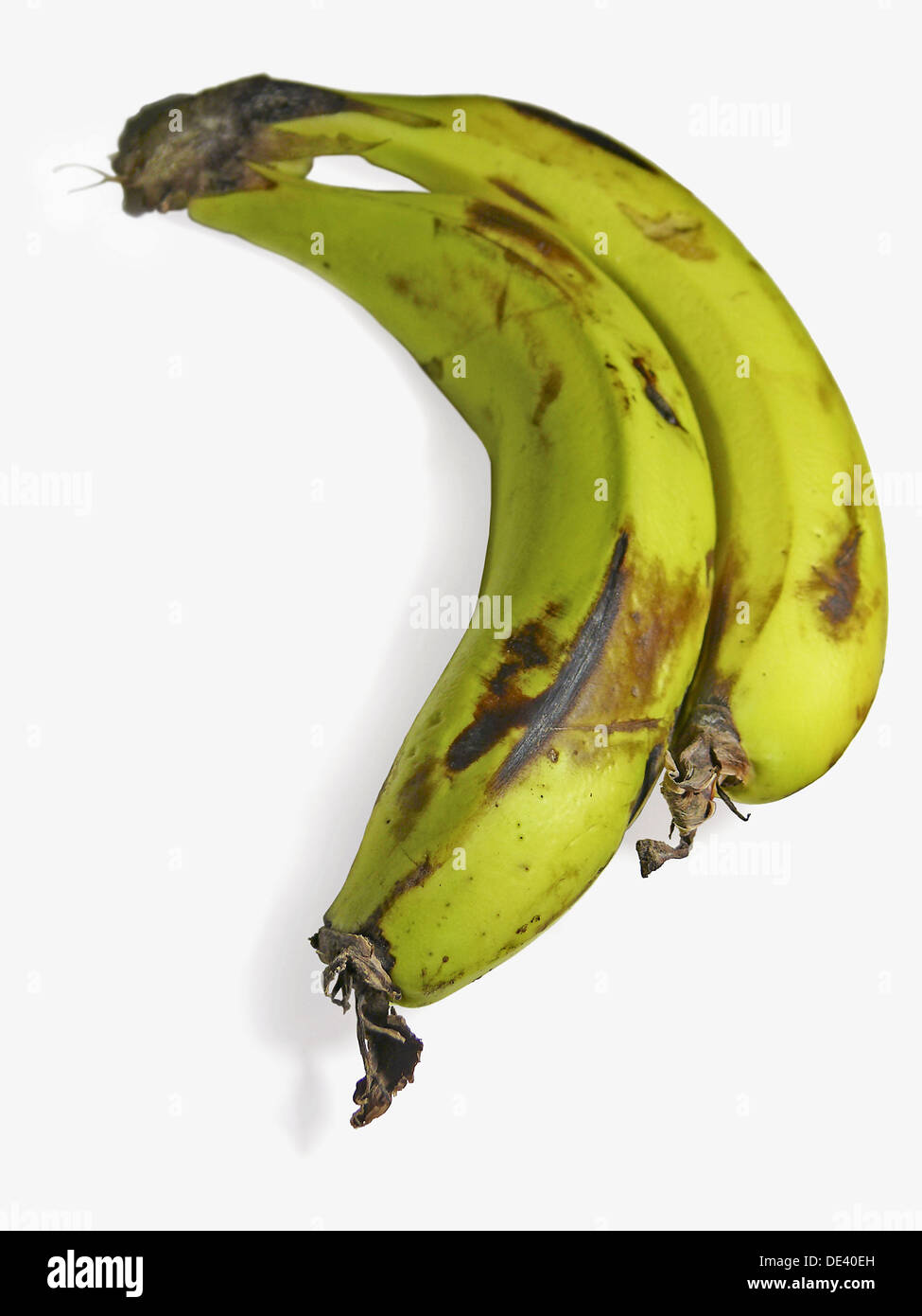 Bananas musa paradisiaca family musaceae hi-res stock photography and ...