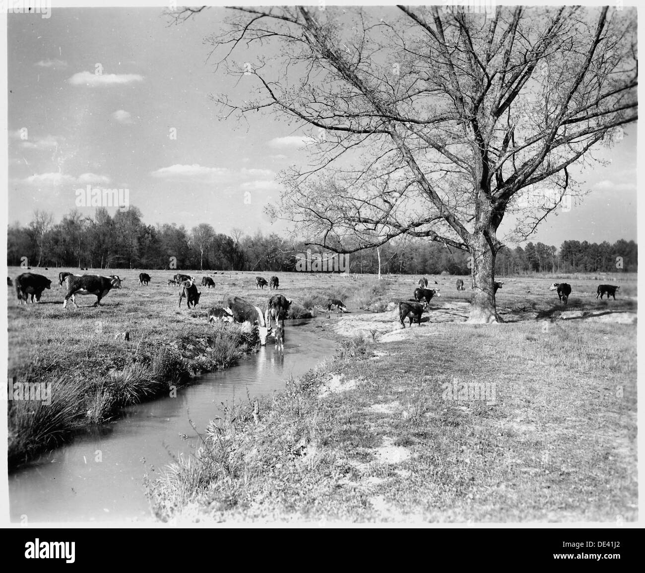 Image shows land cultivation Black and White Stock Photos & Images - Alamy