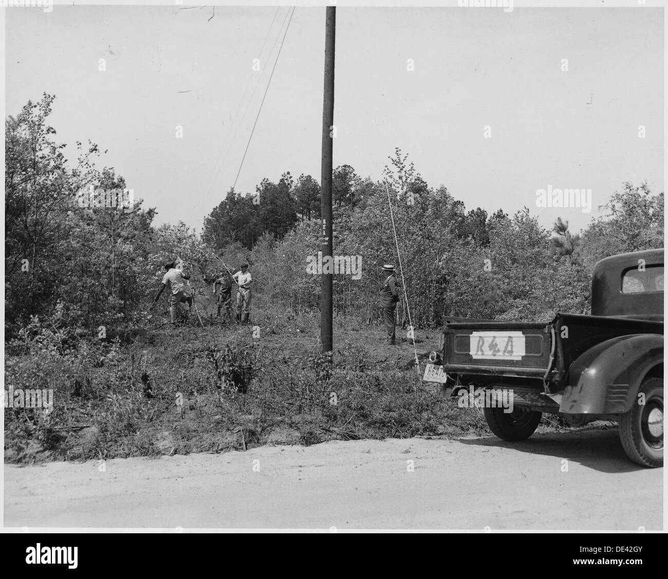The Newberry County Electric Cooperative clears a right-of-way in ...
