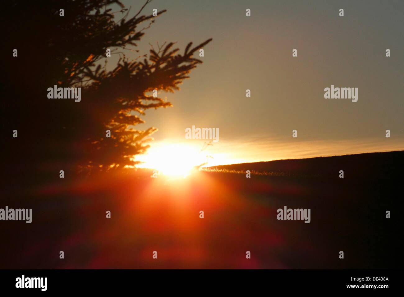 a sunburst through a cloud over a hill and beside a tree Stock Photo