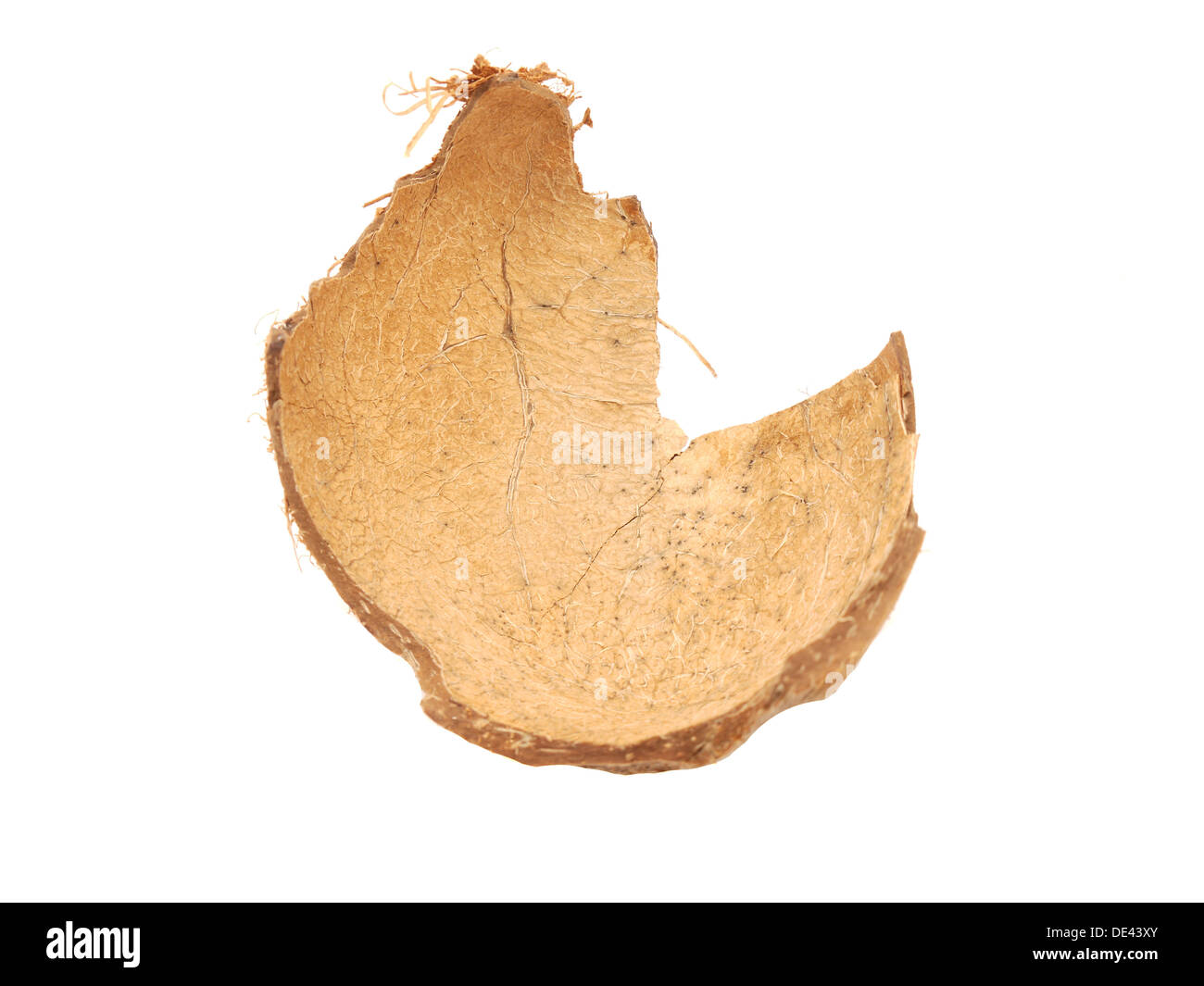 a coconut shell on white Stock Photo