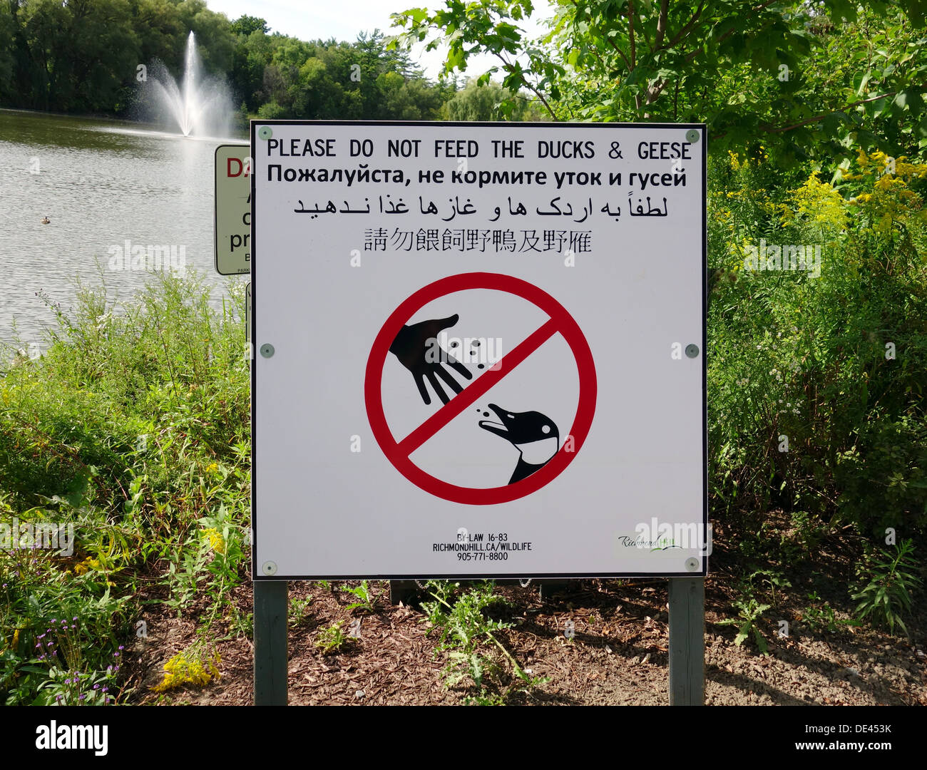Please do not feed the ducks & geese sign Stock Photo Alamy