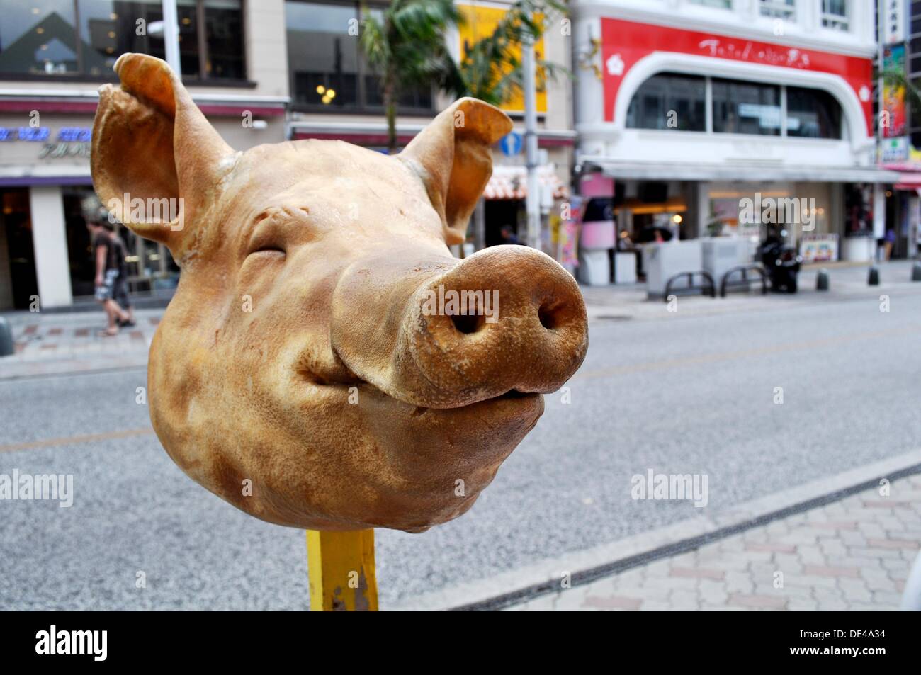 Okinawa pig hires stock photography and images Alamy