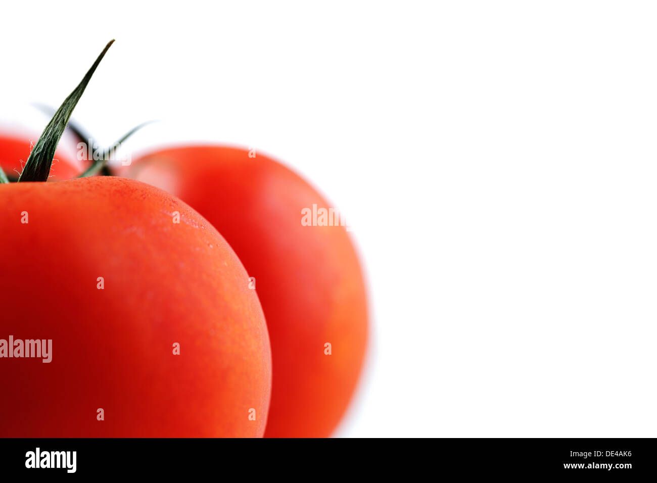 Organic vine tomatoes shot against a white background Stock Photo - Alamy