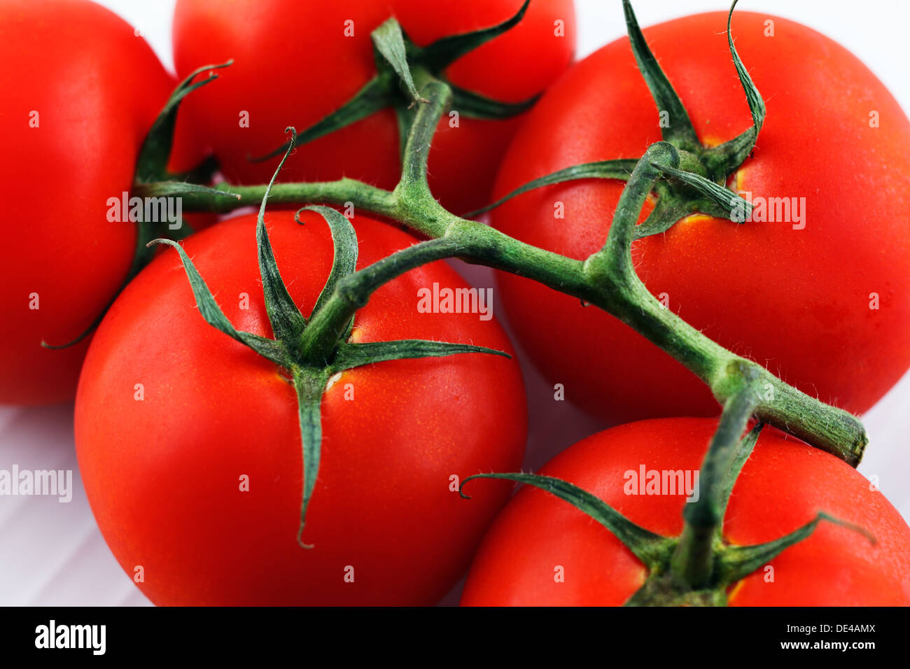 Organic vine tomatoes shot against a white background Stock Photo - Alamy