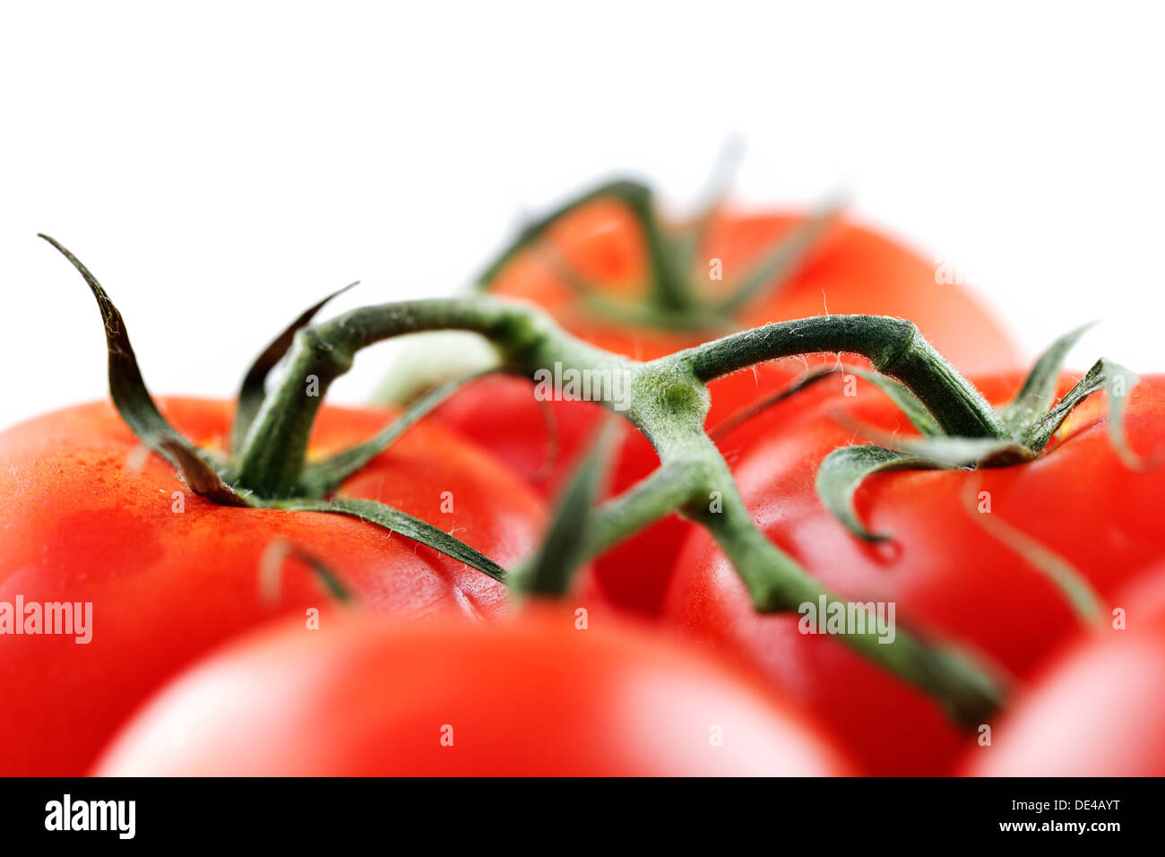Organic vine tomatoes shot against a white background Stock Photo - Alamy