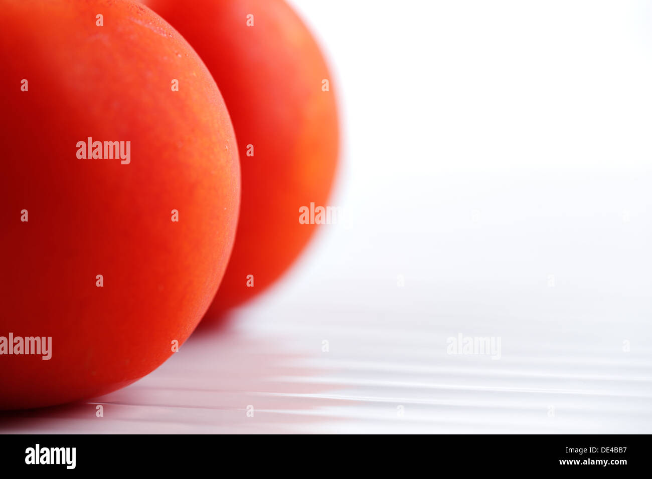 Organic vine tomatoes shot against a white background Stock Photo - Alamy