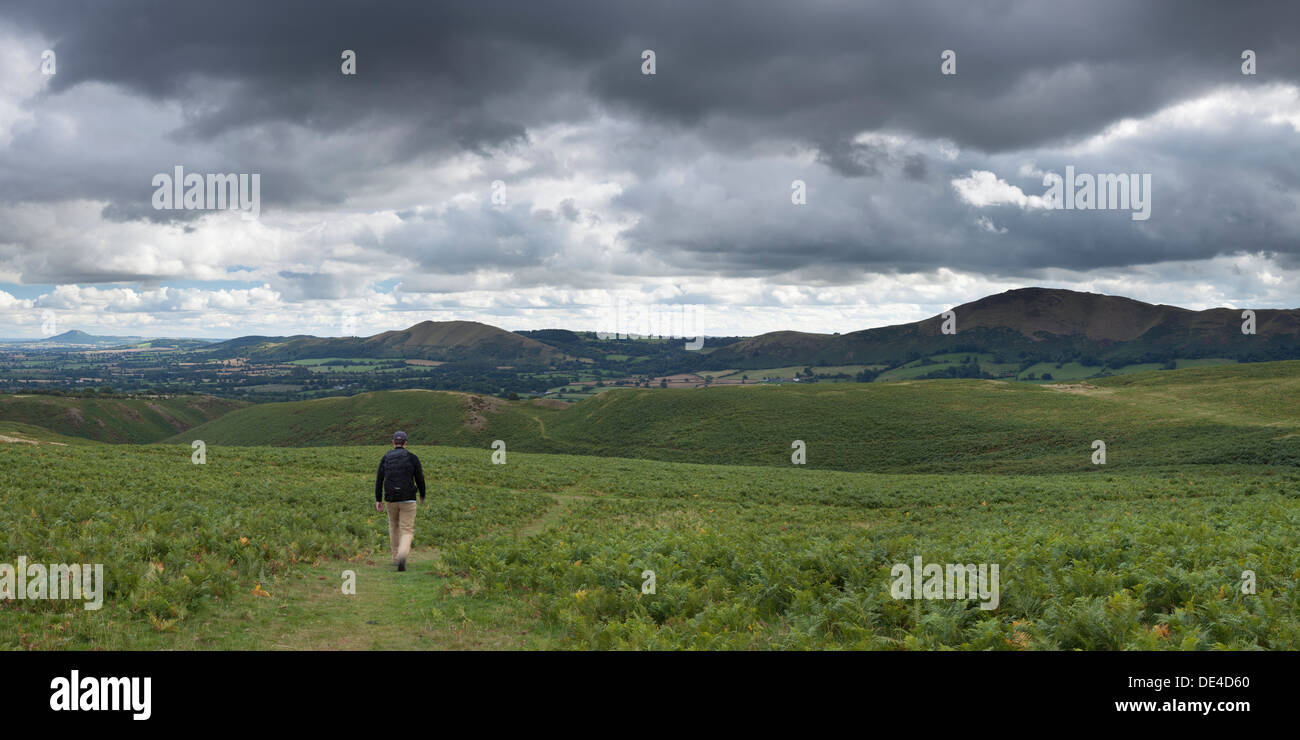 A male aged 25-35 walking on the slopes of The Long Mynd in the Shropshire hills Stock Photo