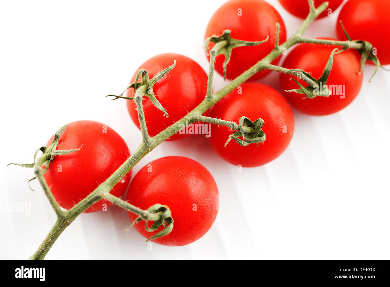 Organic vine tomatoes shot against a white background Stock Photo - Alamy