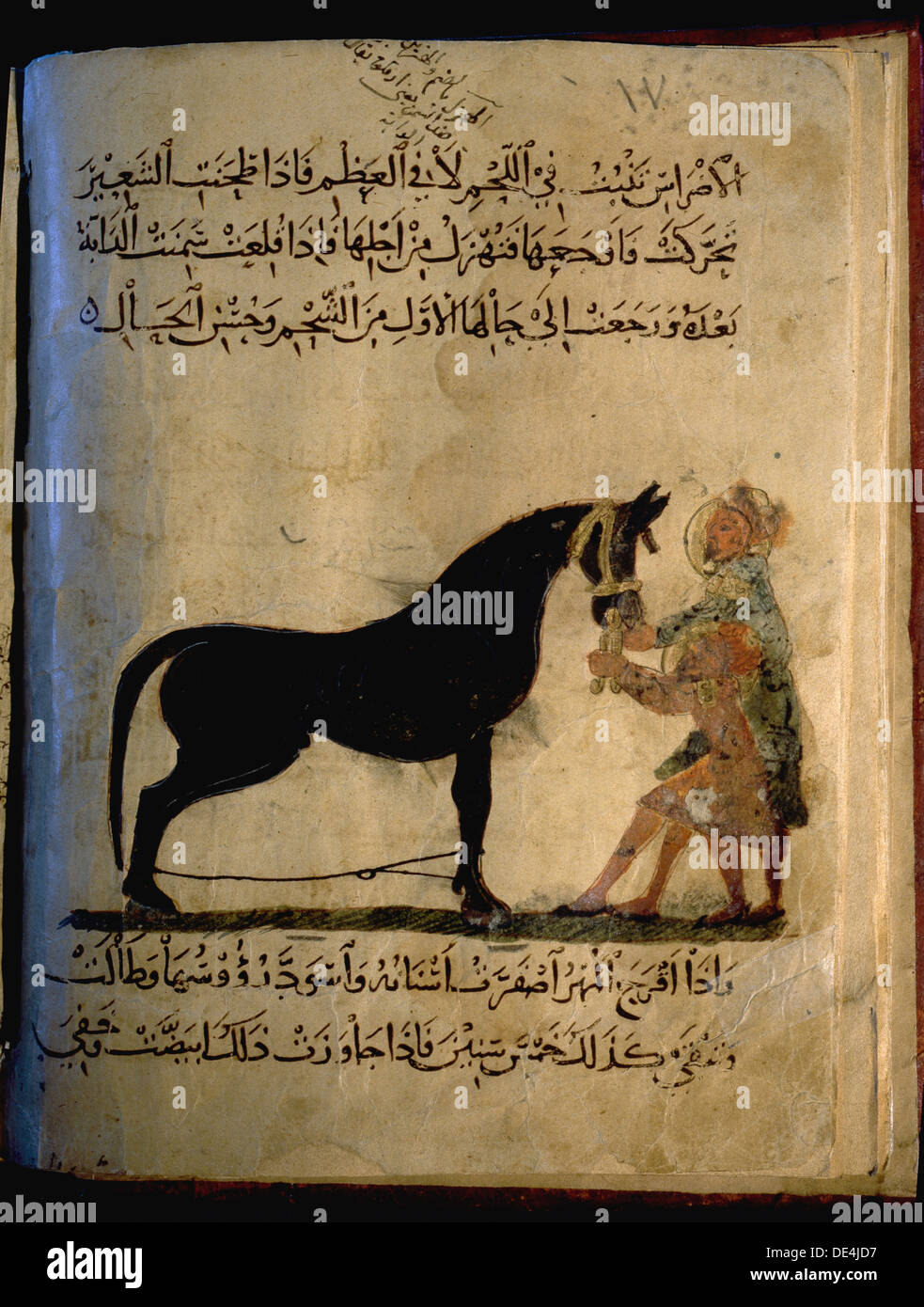 Illustration from Nihayat al-Sul, a Mamluk manual on horsemanship. Stock Photo