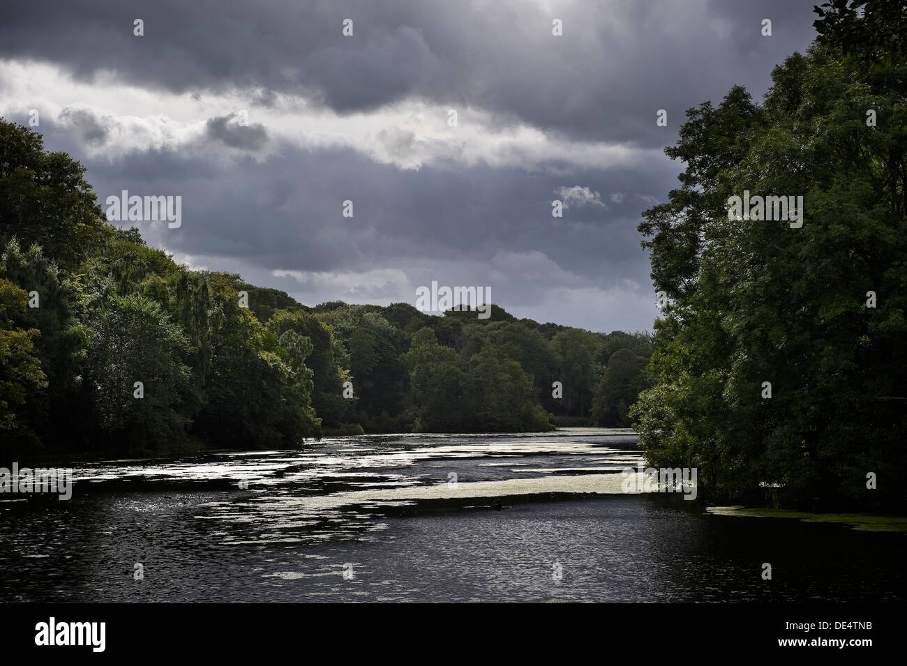 The lake at Yorkshire Sculpture Park near Wakefield, UK Stock Photo
