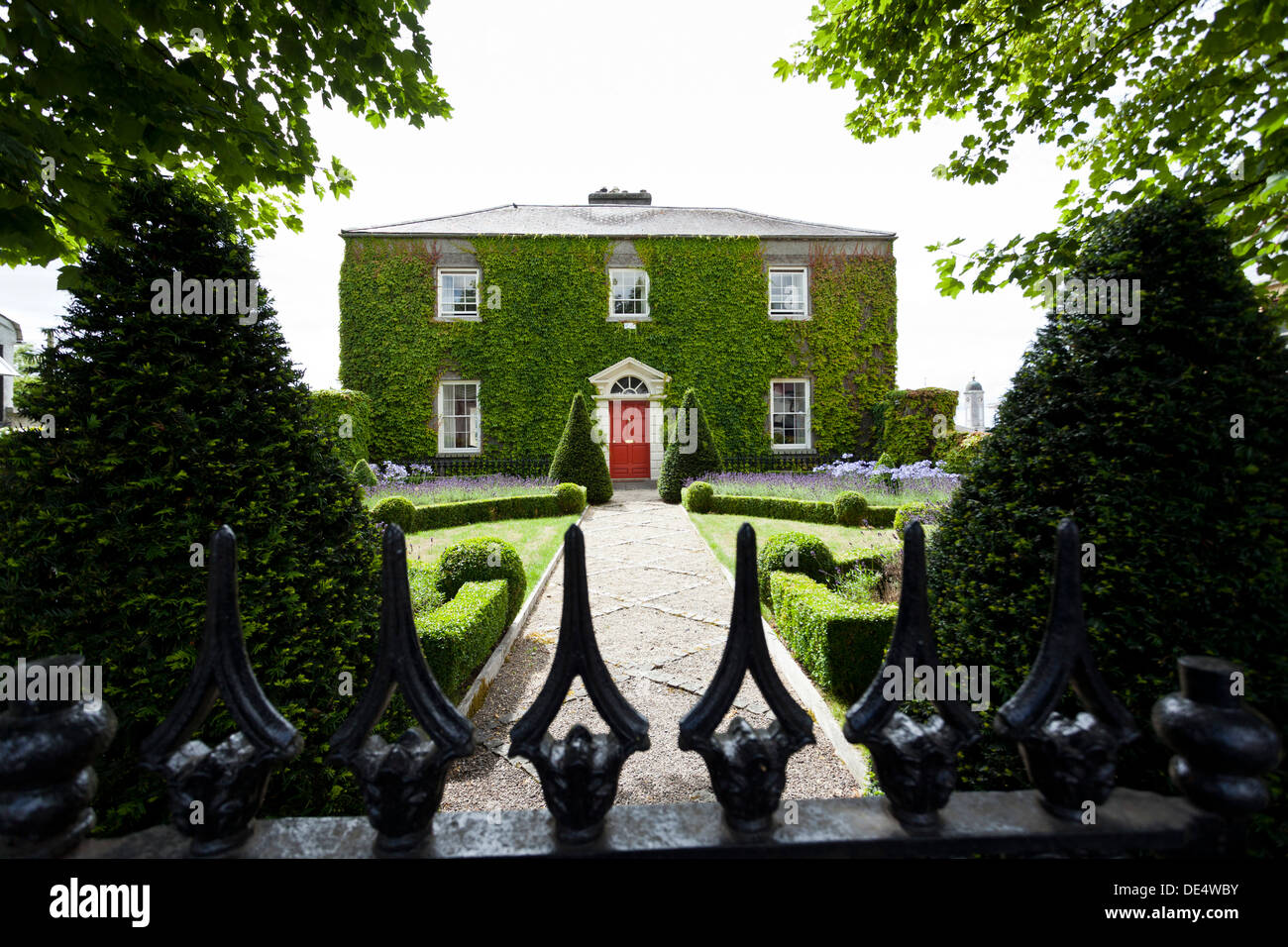 Ivy covered town house in Kildare, ireland Stock Photo Alamy