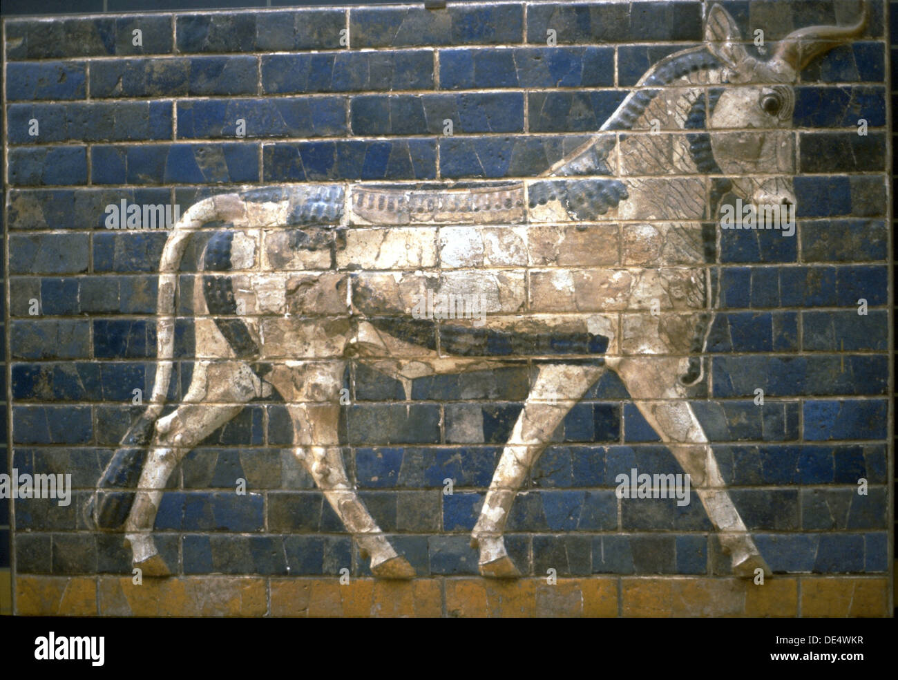 The Ishtar Gate, Babylon. Relief of bull, 6th century BC. Artist: Assyrian Art Stock Photo