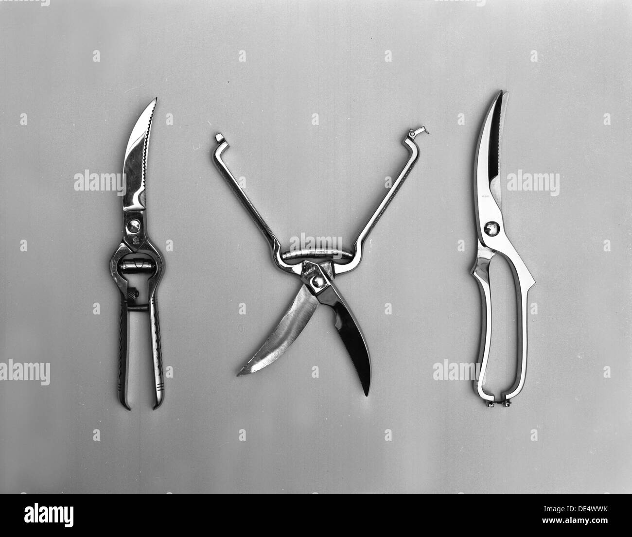 The new range of secateurs and pruners from Champion scissors of Mexborough, South Yorkshire., 1962. Artist: Michael Walters Stock Photo