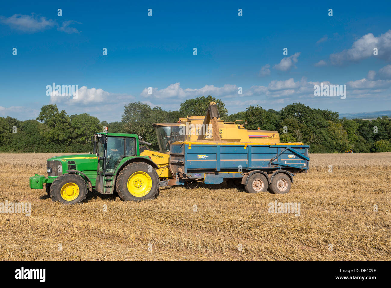 Combine harvester pouring harvested grain into trailer towed by tractor