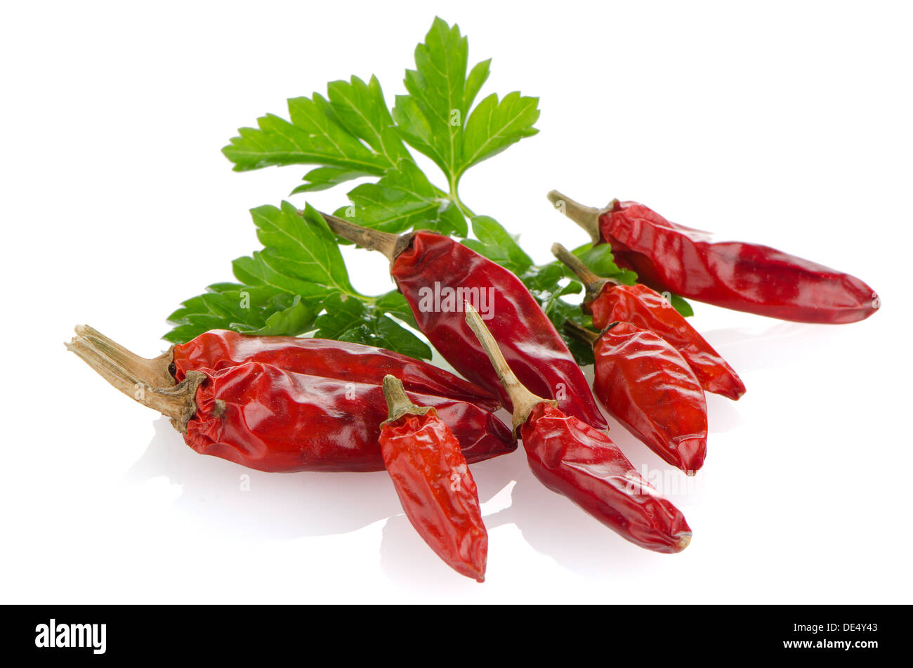 Red chili peppers on a white background Stock Photo - Alamy