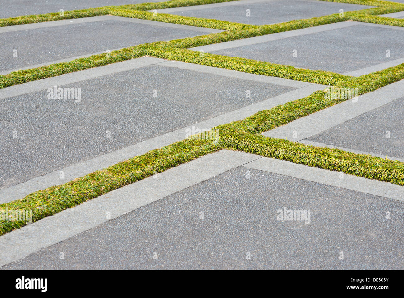 Concrete slabs with grass growing in the gaps Stock Photo Alamy