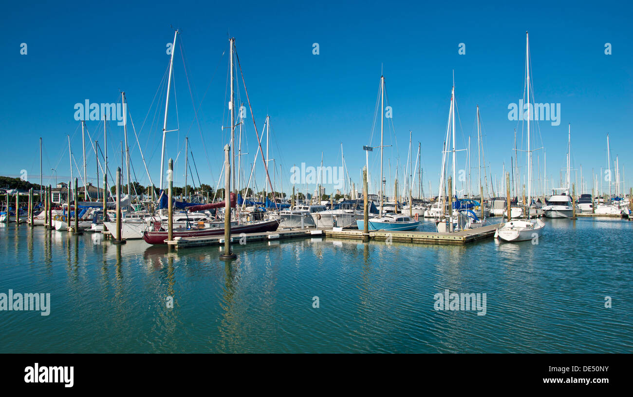 Boats in the harbour of Bayswater, Central Business District of Auckland and Skytower at the rear, Bayswater, Auckland Stock Photo
