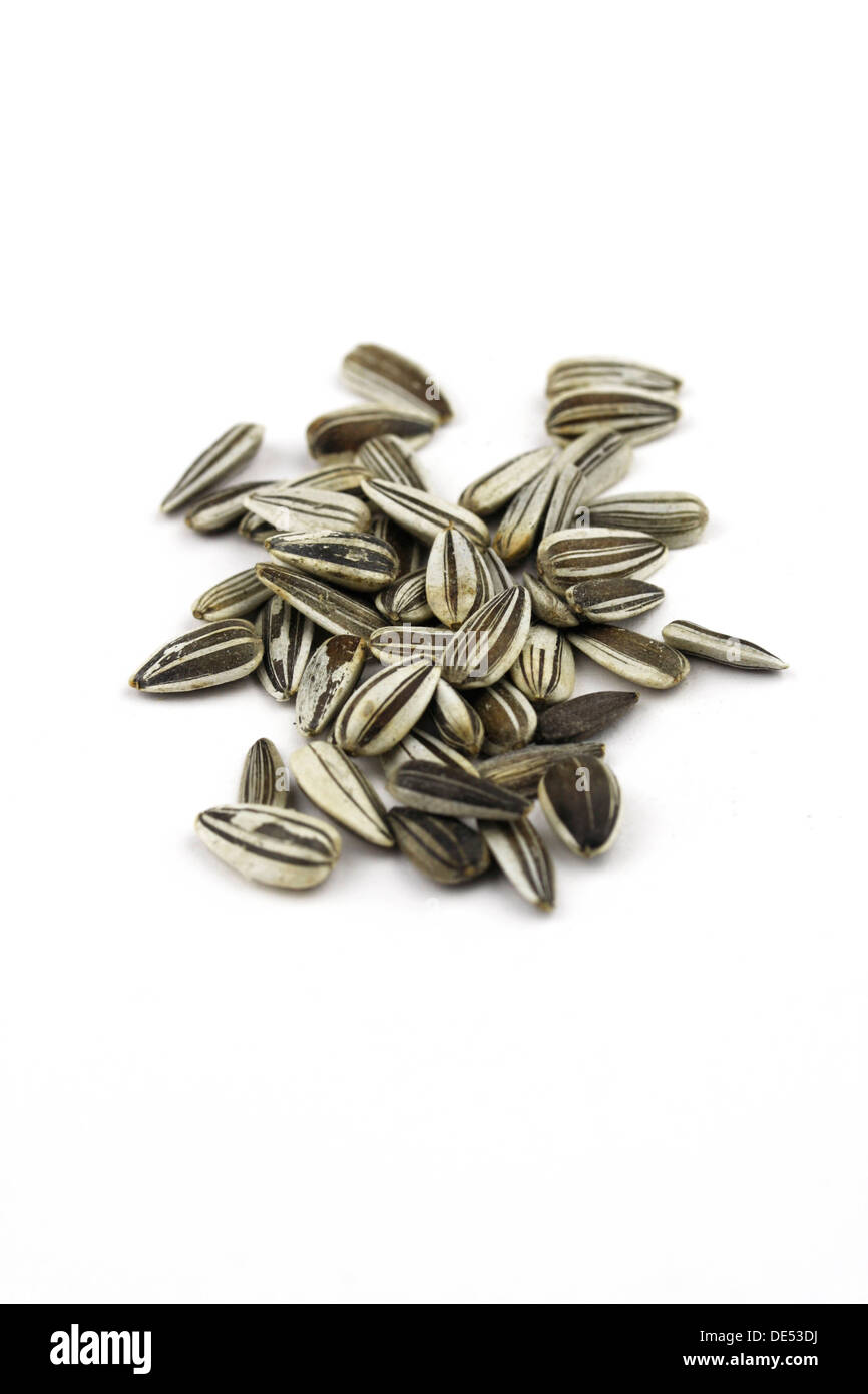 Sunflower seeds in the shell Stock Photo Alamy