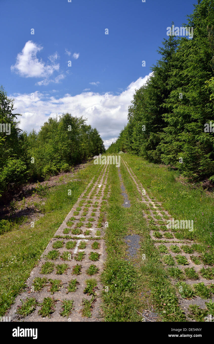 Green Belt, former inner-German border patrol path with the overgrown 'death strip', Rennsteig, Lehesten, Thuringia, Germany Stock Photo