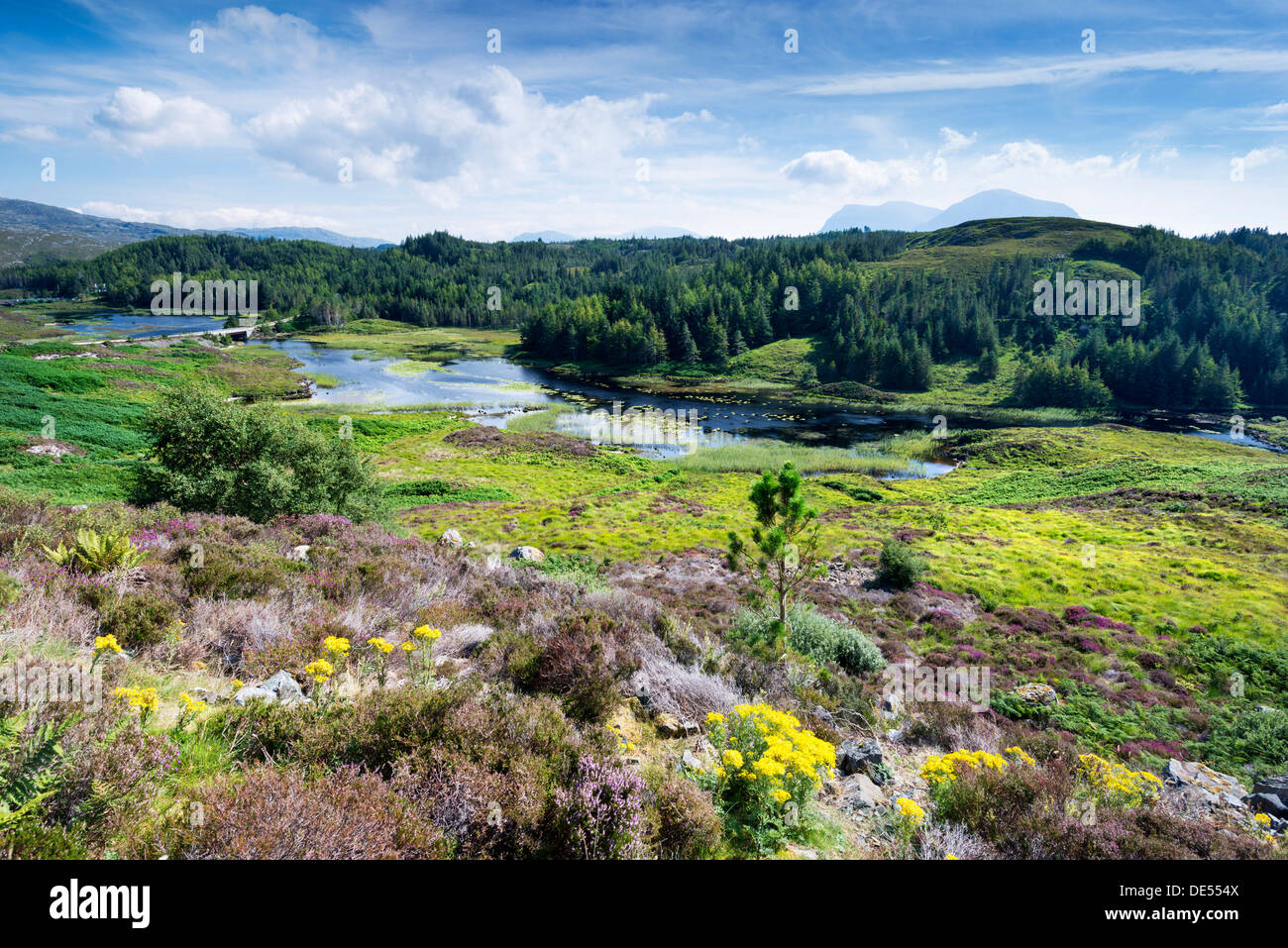 View across the moorland at Loch Dubhaird Mor in the Northern Highlands, Sutherland, Scotland, United Kingdom, Europe Stock Photo