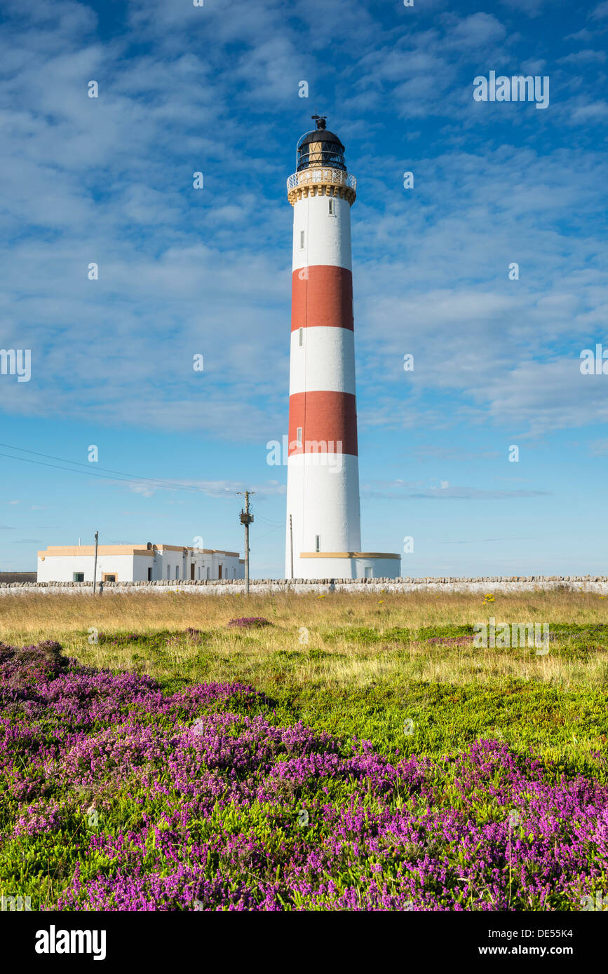 Tarbat Ness lighthouse on the Moray Firth, Scotland, United Kingdom, Europe Stock Photo