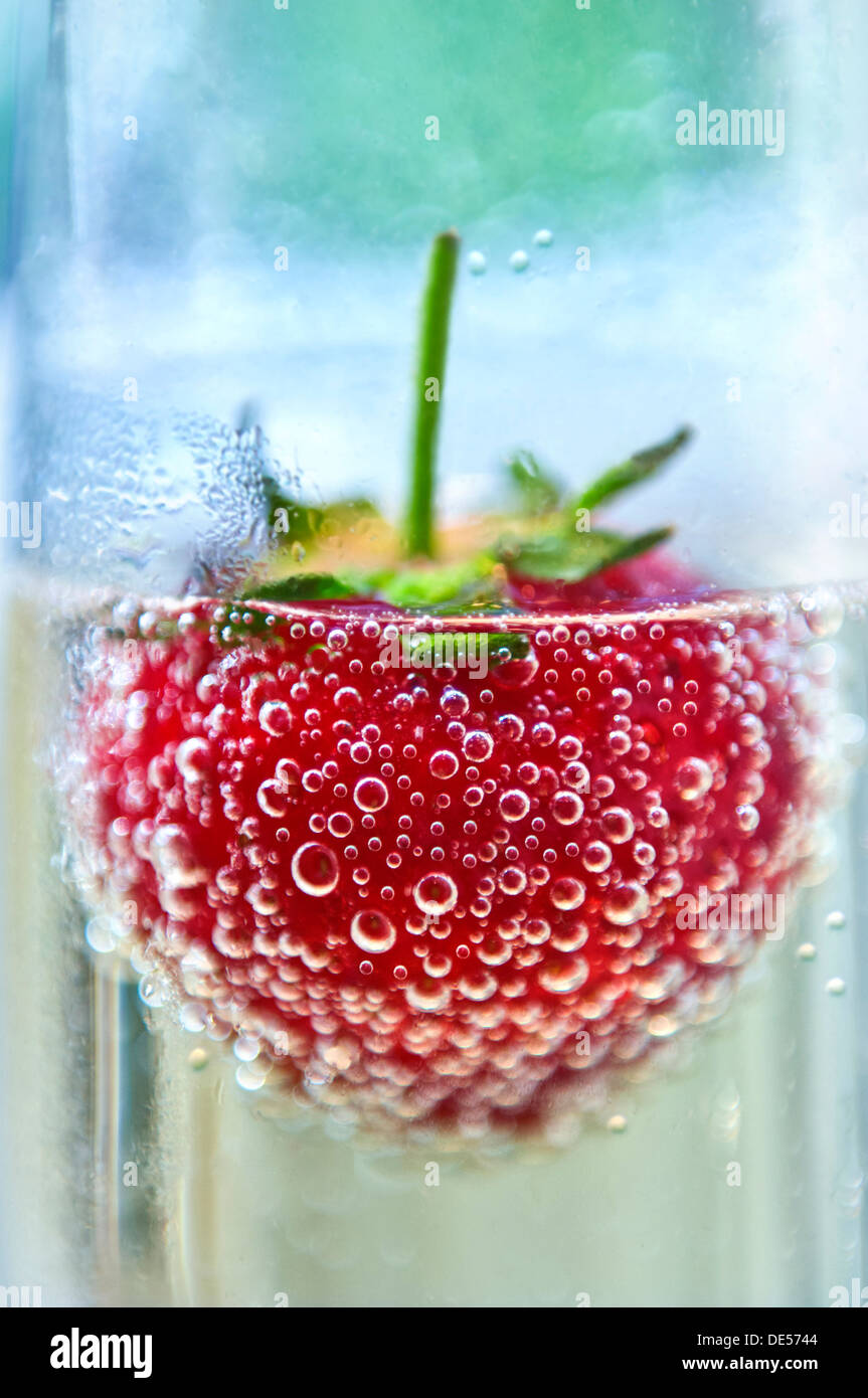 STRAWBERRY CHAMPAGNE Close up on fresh strawberry floating in a glass of sparkling champagne in alfresco garden situation Portrait Vertical Stock Photo