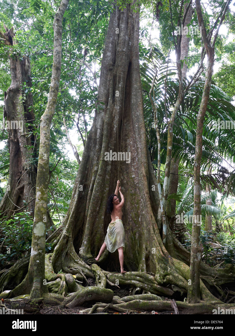 Woman, 45, pulling on a liana of a Kapok (Ceiba pentandra), rainforest, Punta Uva, Puerto Viejo de Talamanca, Costa Rica Stock Photo
