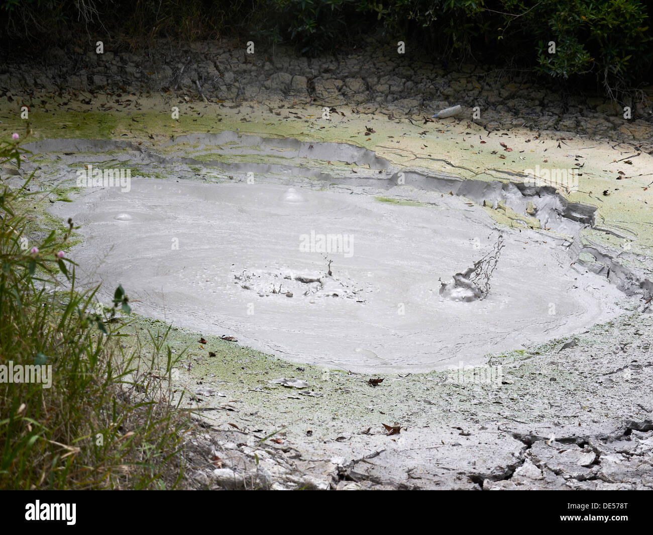Volcanic, bubbling mud pool with mineral-rich mud, Las Pailas, Ricòn de la Vieja National Park, Province of Guanacaste Stock Photo
