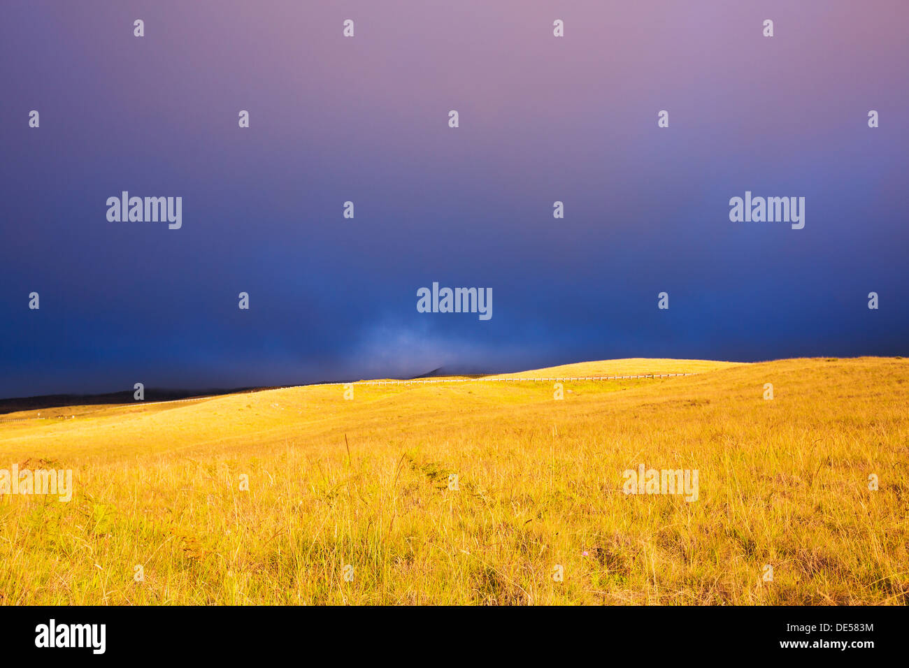 Sunbeam weather wide yellow hires stock photography and images Alamy