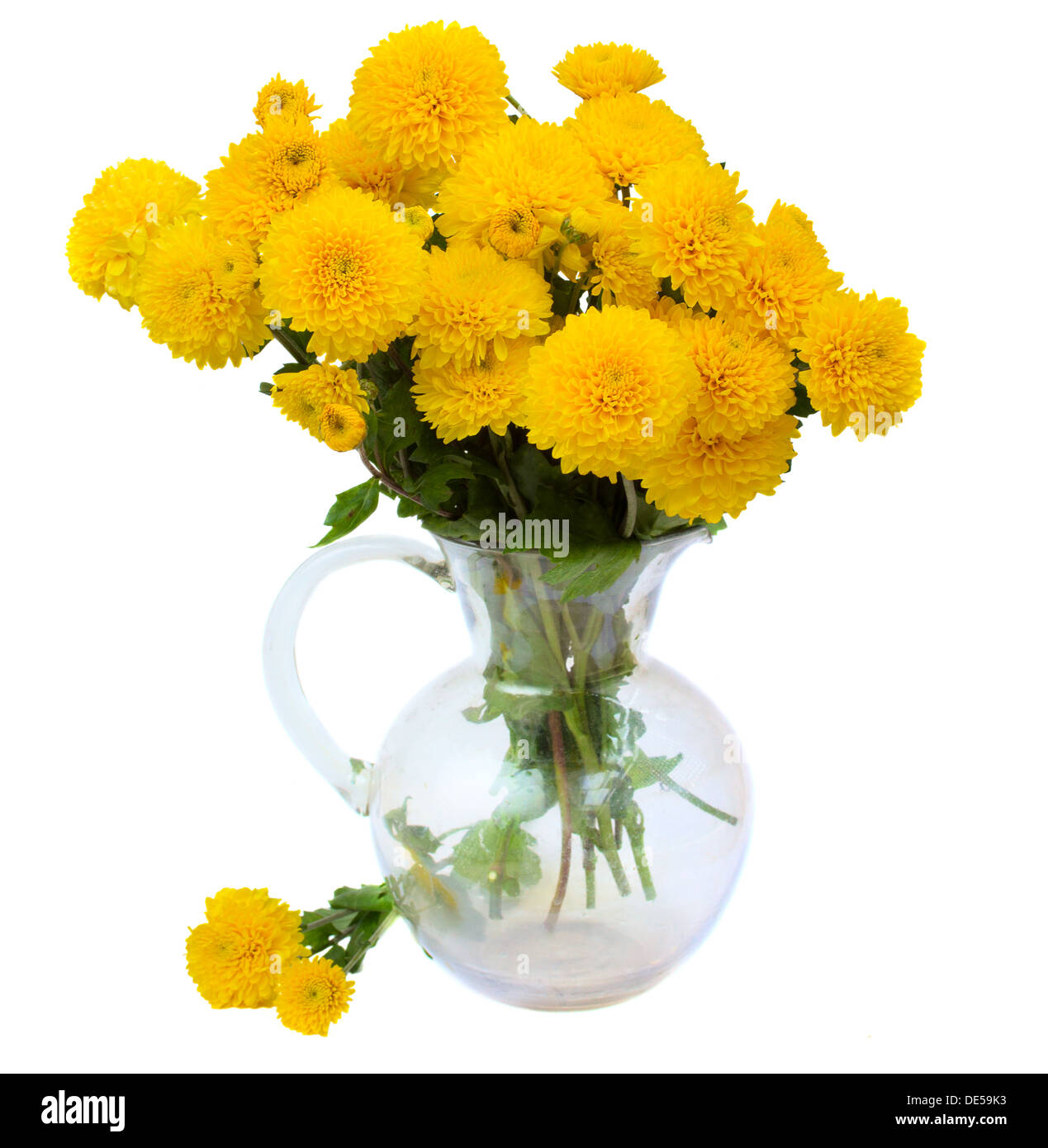 bouquet of yellow mums in vase Stock Photo Alamy