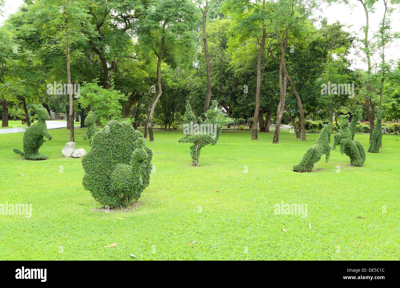 Tree park with nature hi-res stock photography and images - Alamy
