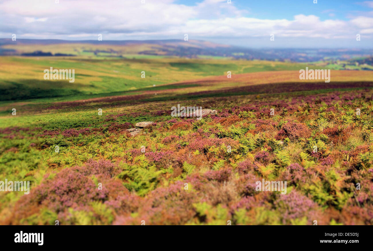 Dartmoor locations hires stock photography and images Alamy