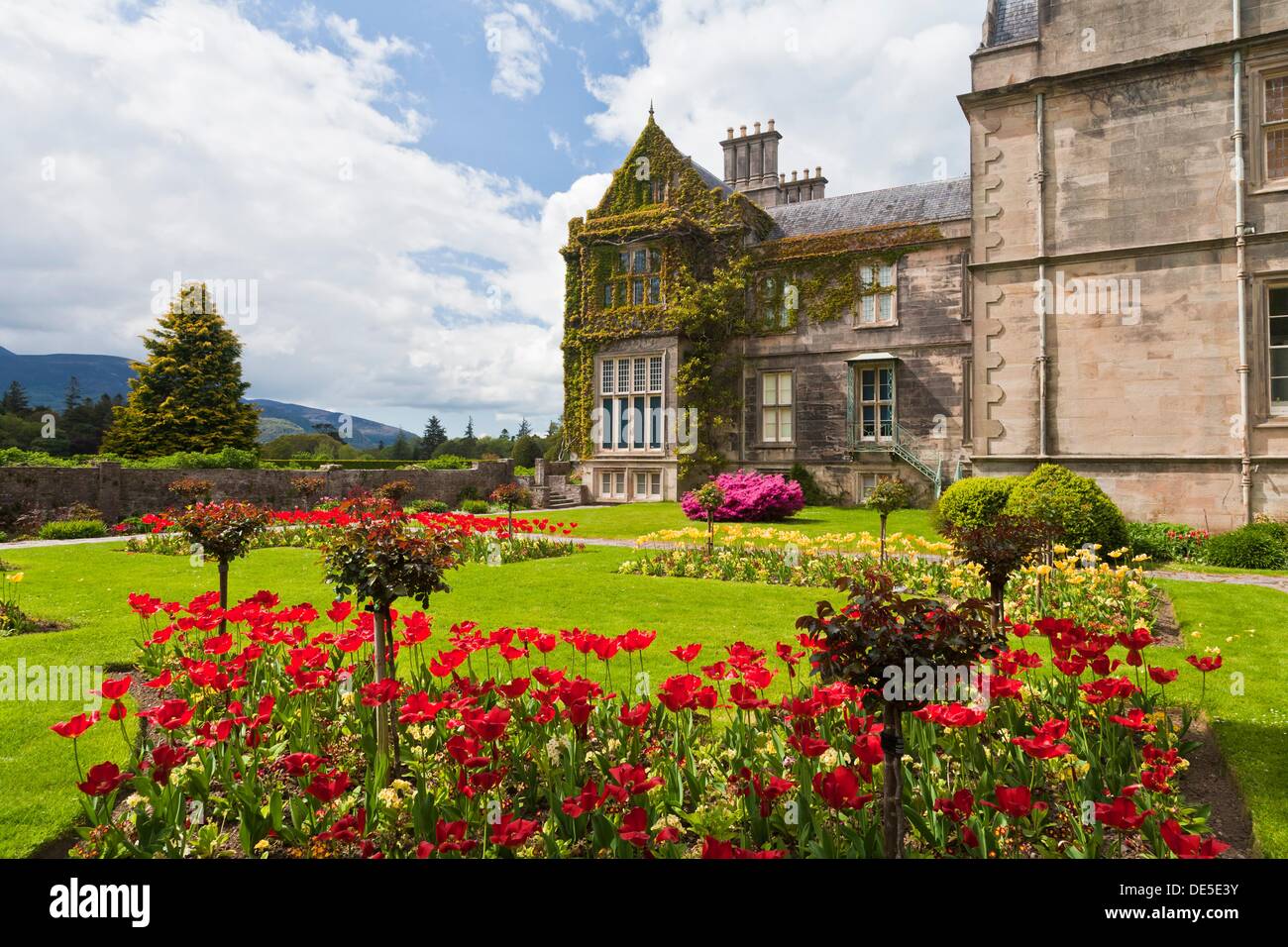 Muckross House and Gardens, County Kerry, Ireland, Europe Stock Photo