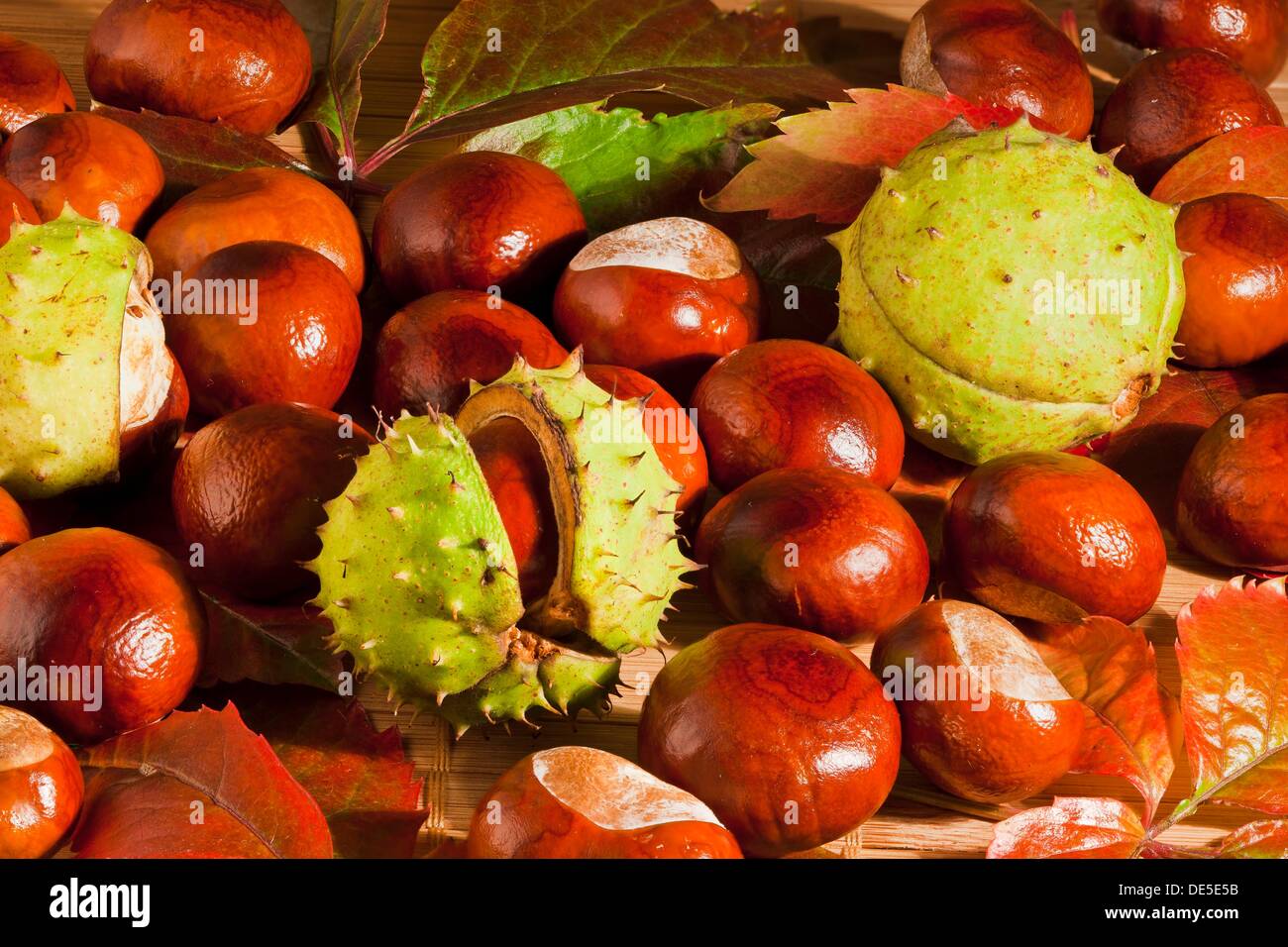 Chestnuts in shells hi-res stock photography and images - Alamy
