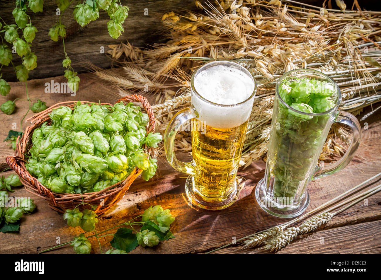 Ingredients for the golden beer with a large foam Stock Photo Alamy