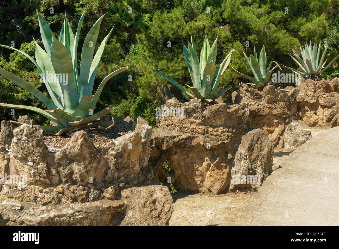 scenic alley of agave plant set in big stone pots from famous Park Guell in Barcelona Stock Photo