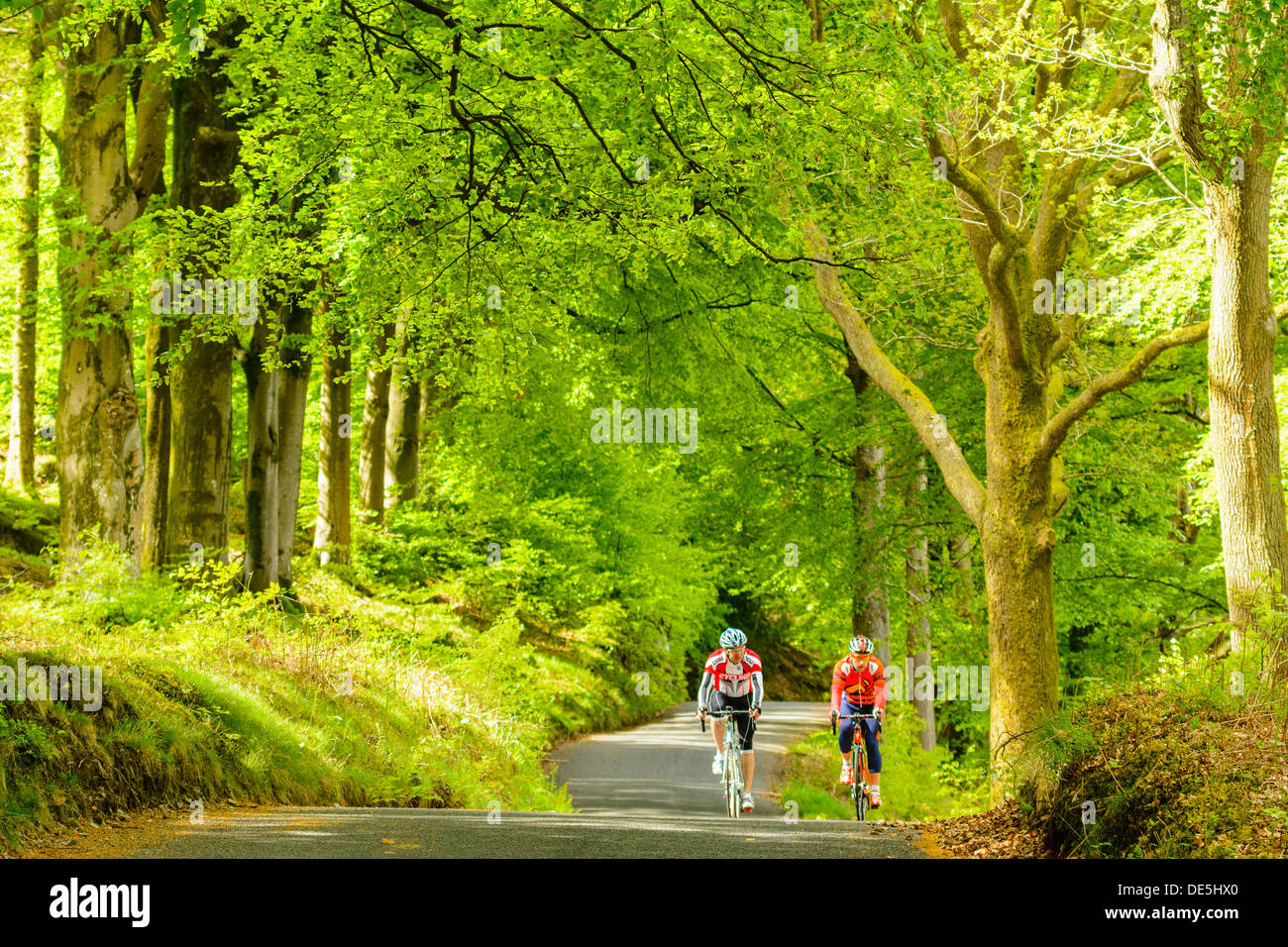 Coniston water lake district bike hires stock photography and images