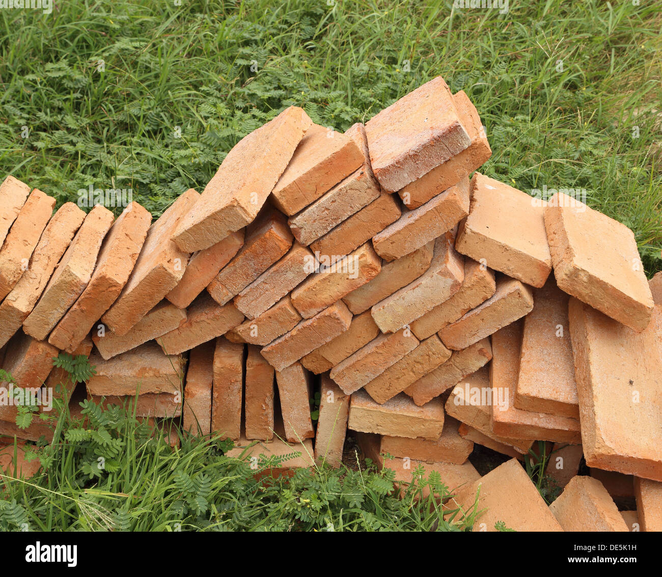 My Image 22