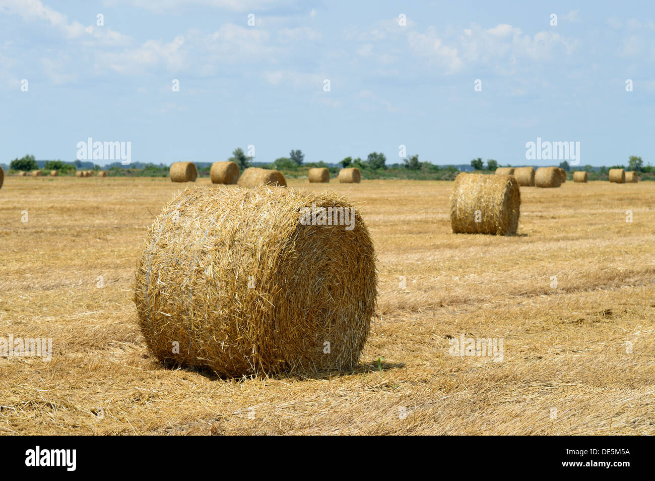 Hay bales on a summer stubble field after harvest Stock Photo - Alamy