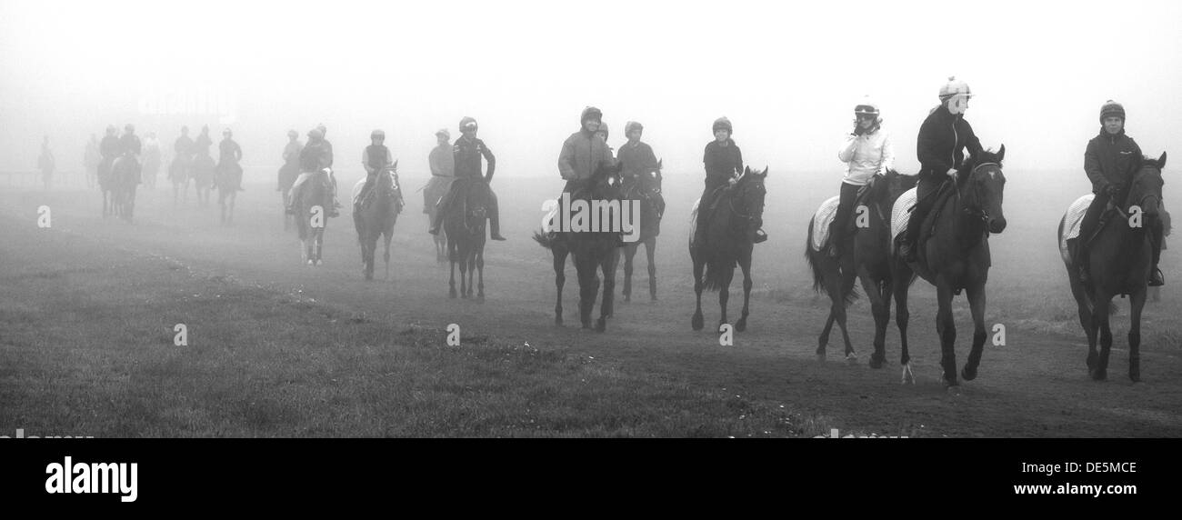 Horses trot back through the mist. Stock Photo