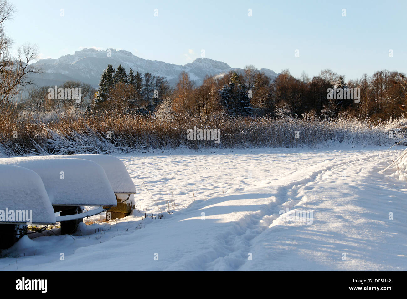 Winter landscape, Chiemsee Chiemgau Upper Bavaria Germany Stock Photo