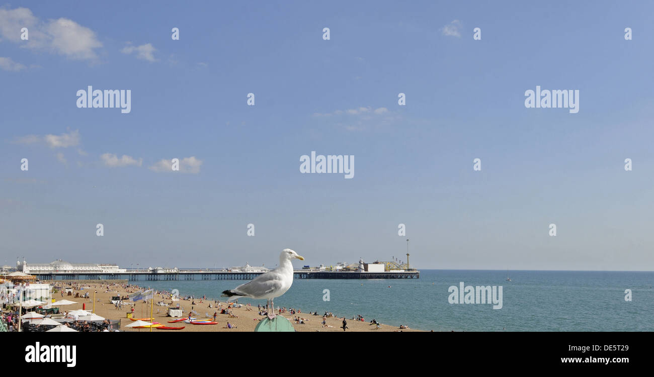 View of Seagull perched on railing above Brighton beach with Pier in background Brighton East Sussex England Stock Photo